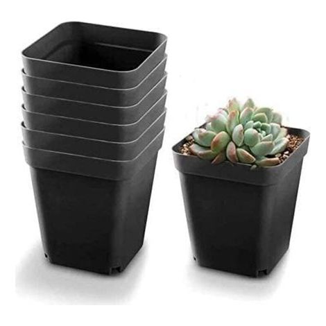 100 pots noirs pour semis - Pots de fleurs carrés en plastique - Petits pots d'intérieur/extérieur (Noir / 6x6x5,5cm) (1/4)