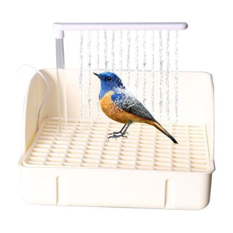 Baignoire Automatique pour Oiseaux, Douche pour Oiseaux avec Plusieurs robinets, Baignoire électrique USB pour Grand Oiseau pour calopsitte, Oiseau, Gris Africain (1/5)