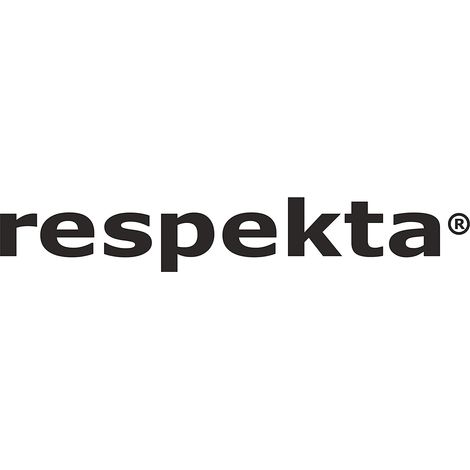 respekta Évier en acier inoxydable Évier à encastrer Évier de cuisine Évier en acier inoxydable 86x50 (1/5)