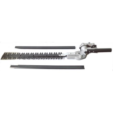 RIC.PAPILLON - DECESP. 97845-95464-82879 TAGLIASIEPE RIC.