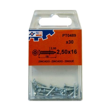 VITE A TESTA PIATTA POZI ZN C/12 - 4X35 MM