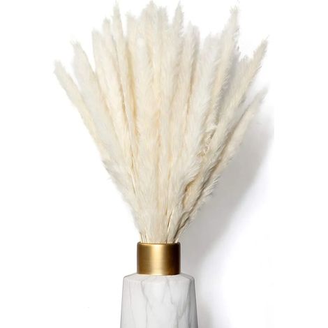 10 pièces d'herbe de pampa séchée, bouquet naturel, décoration pour l'intérieur, photographie de mariage (1/5)