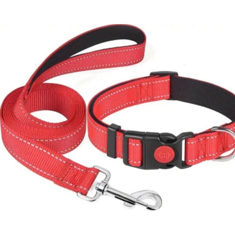 Set composto da guinzaglio e collare per cani, lunghezza del guinzaglio 150 cm, disponibile in 4 colori diversi. (1/5)