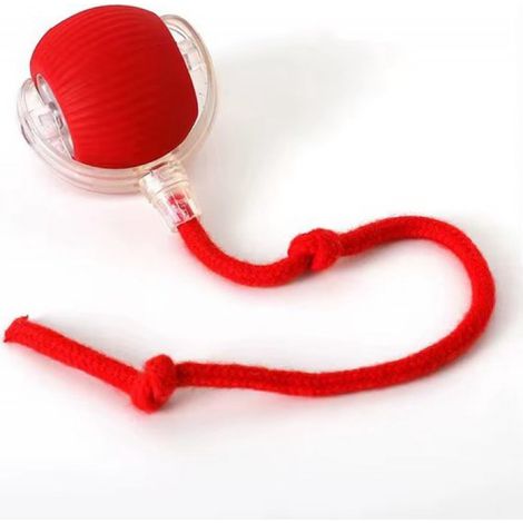 Jouets pour chats - Accessoires pour chats - Jouet électrique pour chat - Jouets interactifs pour chats - Jouets d'intelligence pour chats - Jouets pour chatons (1/5)