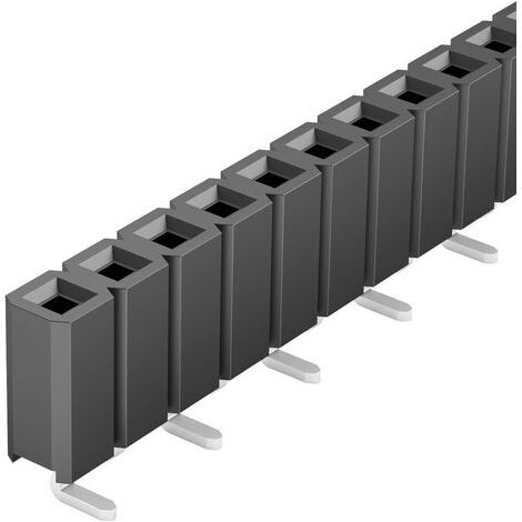 Fischer Elektronik Barrette femelle (standard) Nbr de rangées: 1 Nombre de pôles par rangée: 20 1002 (1/4)