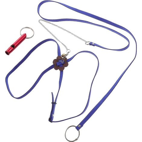 Corde de traction pour animaux de compagnie en forme de tortue, réglable, en daim, pour les promenades en extérieur (1 pièce) (1/5)