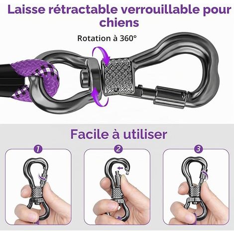Longe pour Chien 10M, Laisse de Dressage avec Poignée et Mousqueton Verrouillable, Robuste pour Petits, Moyens et Grands Chiens (1/4)