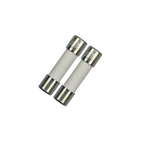 Lotto di 2 fusibili elettrici 10A 5 x 20 mm originale - Forni, Fornelli Elettrici e a Gas - BOSCH - 296039