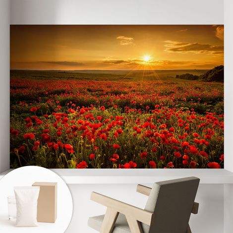 Newroom Tapete Dekorative Vliestapete mit Kleber Modern für Wohnzimmer Schlafzimmer  Mohnfeld 104x70 cm (1/5)