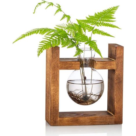Jarrón de vidrio de bellota para flores, terrario, maceta con soporte de madera (1/5)