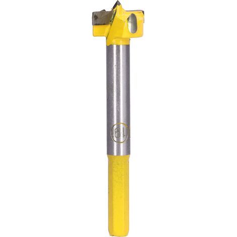 19 mm Carbide Forstner Bit for Woodworking (1/5)