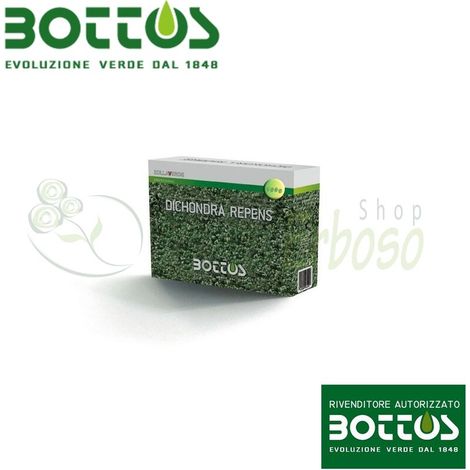 Dichondra Repens - 100 g de semillas de césped