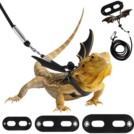 Harnais et laisse réglables pour dragon barbu, laisse en cuir pour reptiles, 3 tailles, harnais d'extérieur pour lézards, reptiles (1/5)