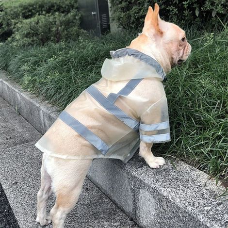 Imperméable à capuche pour chien, poncho pour chiens de petite à très grande taille et chiots, transparent (M) (1/5)