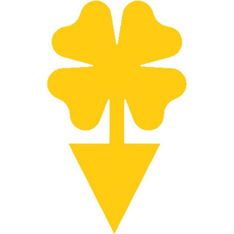 Plaques Engluées Jaunes Épaisses Trèfle à Quatre Feuilles - Lot de 100, Piège à Insectes Volants (1/5)