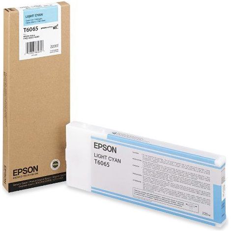Epson T6065 cartucho de tinta 1 pieza(s) Original (1/2)