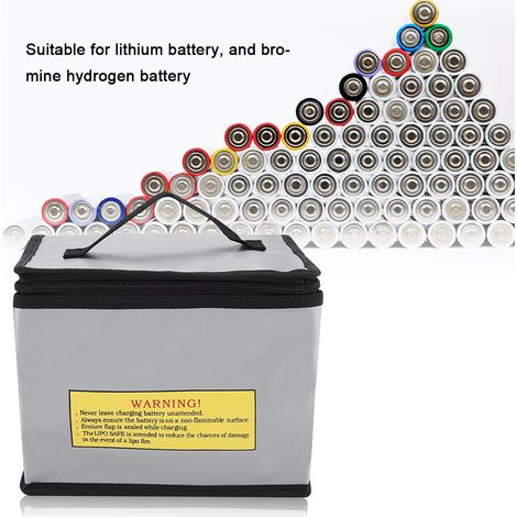 Sac à main portable antidéflagrant pour recharger les batteries (1/5)