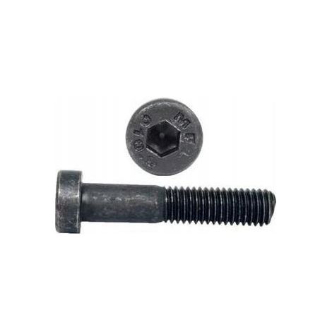 Vis Allen M5x20 KL.10.9 DIN 7984 pièces. 500 pièces. (1/5)