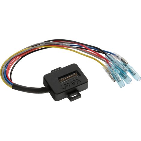Smart Cheat-Box, resistenza con centralina a selettori per l’eliminazione di errori - 12V (1/2)