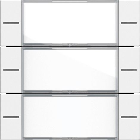 Gira WIPP.S.3F BSF TASTS.4 KL./RWS (577327 SYSTEM 55)