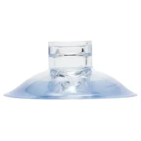 Ventose per acquario Zolux 30x15 mm confezione 50 trasparente
