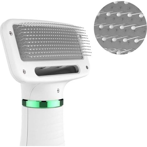 Brosse électrique, sèche-cheveux, peigne, animaux de compagnie, chien, chat, toilettage (1/3)