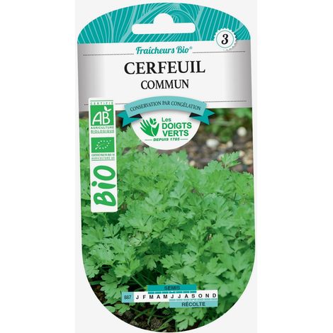 Semillas de perifollo común BIO Los Dedos Verdes