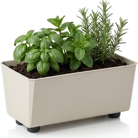 Jardinière Rectangulaire avec Pieds Élégants – Bac À Fleurs Beige en Plastique Robuste 28,5 x 17 cm, 4,2L – Résistant Aux Intempéries (1/5)