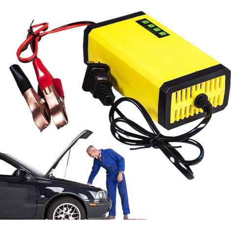 de la batterie chargeur de batterie 12 V haute efficacit (1/5)