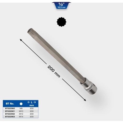 BRILLIANT TOOLS Douille d'embout XZN 1/2" 200 mm de long M12 - BT022962 (1/5)