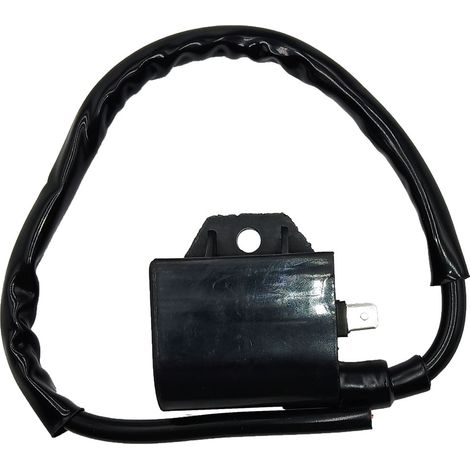 Transformateur haute tension ATV 300 3x4 4x4 1998 1999 2000 2001 2002 2003-2005 (1/4)