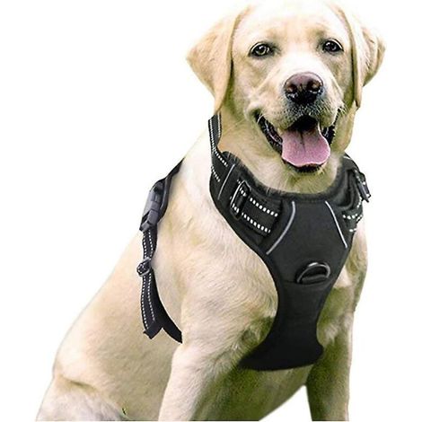 Reflektierendes und verstellbares Anti-Zug-Hundegeschirr mit Leine für Spaziergänge und Training, schwarz, Größe M (1/5)