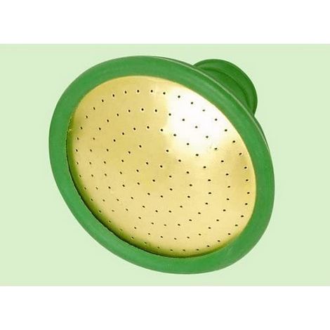 Fine as Rain Watering Can Rose - Green