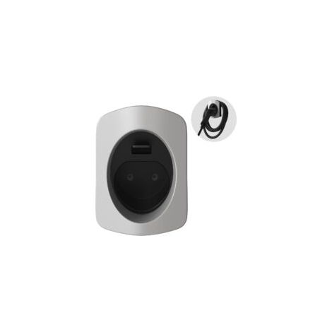 Adatto per Rnemitery – Cavo di ricarica per veicoli elettrici con montaggio a parete – Resistente alle intemperie – Facile installazione – Compatibile con caricabatterie CA da 220 V