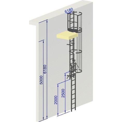 Echelle a crinoline hauteur à franchir 5 mètres sortie laterale NF 85-016 (1/5)