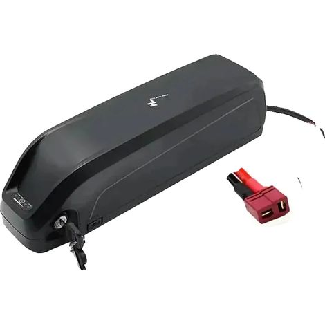 Batterie, 48V, capacité de 20Ah, T-48V-20AH (1/2)
