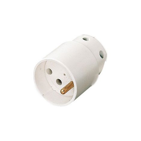 Fiche femelle 16A 2P+T blanc L'EBENOID 021353