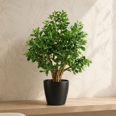 70cm Artificial Deluxe Jade Plant Premium (1/4)