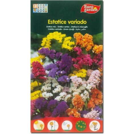 semillas fito flores estatice variada 00630 (caja 10 unidades)