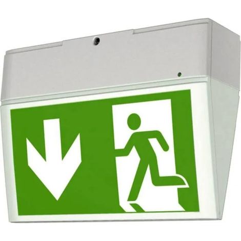 Eaton Euro X lámpara de emergencia blanca con autonomía de 3 horas