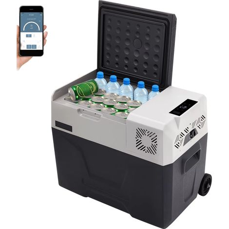 Réfrigérateur camping 50 L – 12/24 V et secteur – Mini frigo – Grand volume – Idéal road trip