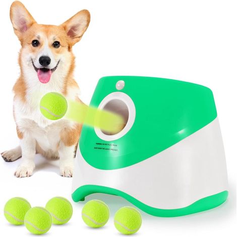 Lanceur balles chien automatique, 6 mini balles tennis vert (1/5)
