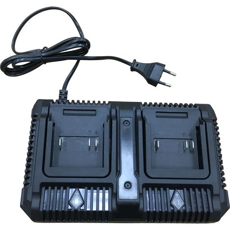 Fornorth Batterieladegerät Doppelt
