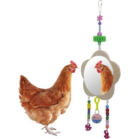 Poulet jouet swing miroir suspendu cloche et molaire poulet jouet oiseau jouet miroir poulet miroir (1/5)