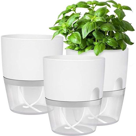 Lot de 3 pots à réserve d'eau, 15 cm. Pots à réserve d'eau pour plantes d'intérieur. Pots transparents pour rempotage et plantation. Blanc. (1/5)