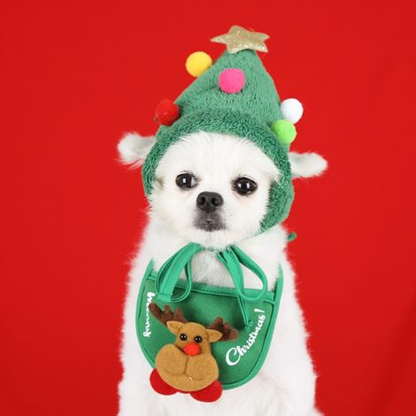 Conjunto de gorro y bufanda navideños para perros y gatos – poliéster (S, L, 7,5 kg) – disfraz para fiestas y mascotas (1/5)