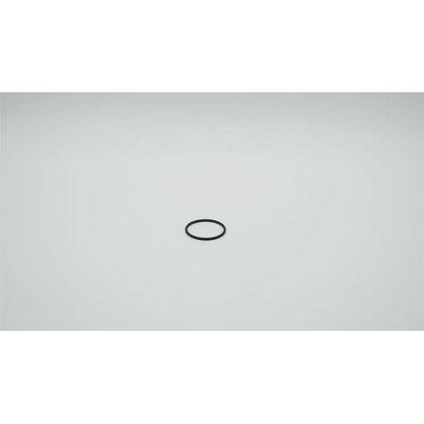 BWT O-Ring für Infinity M 2, NBR55 52x3,5mm, 1-181557
