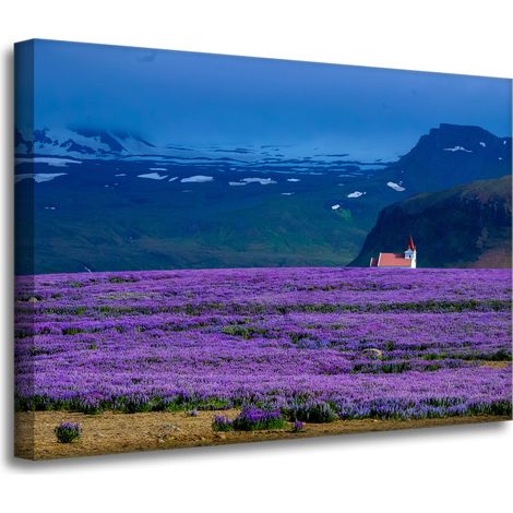 Leinwanddruck Natur Lavendelfeld 70x50 cm Lila Blüten Sonnenuntergang