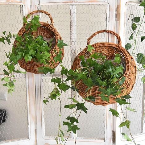 2 cestas colgantes de mimbre y sauce，cestas de flores de ratán，macetas colgantes de pared，macetas de madera para decoración de pared