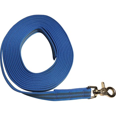 Laisse caoutchoutée avec bandes réfléchissantes = 5 m (sans dragonne) – Orange, bleu ou violet (1/3)